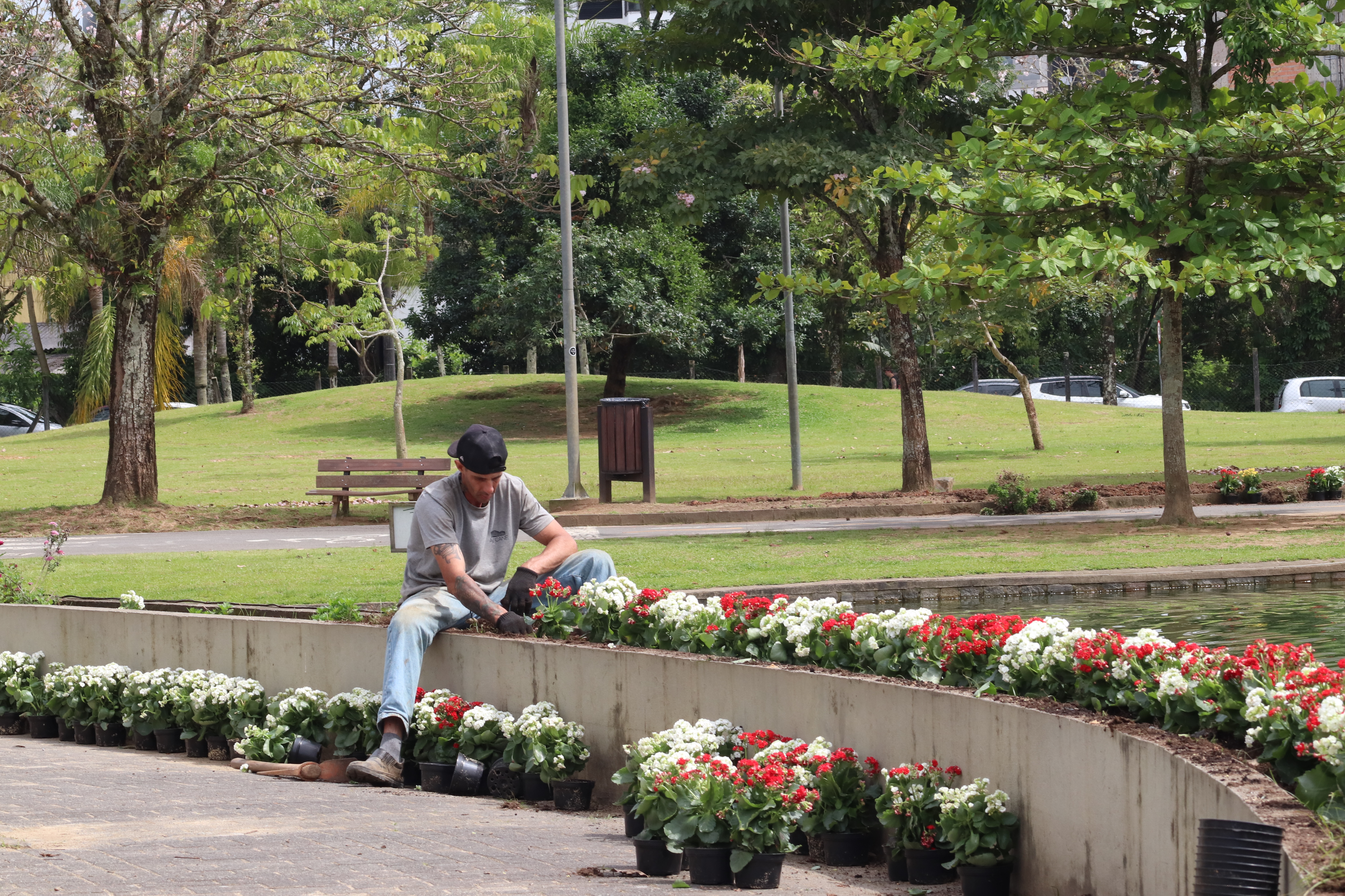 Flores utilizadas nos desfiles das 41ª Oktoberfest Blumenau são reaproveitadas nos parques da cidade