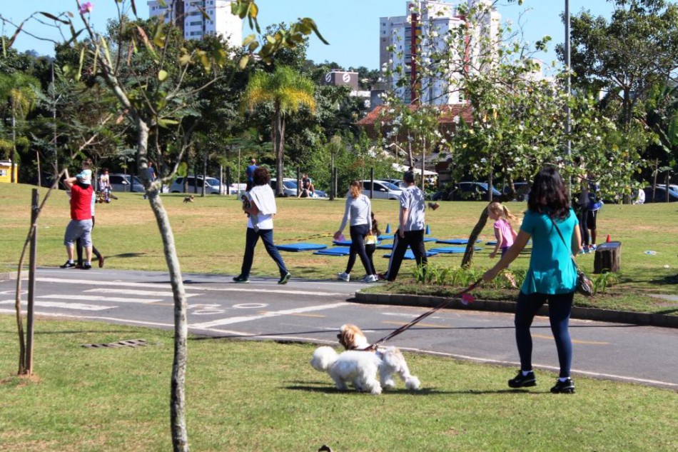 Cão no Parque e na Vila terão novidades neste fim de semana