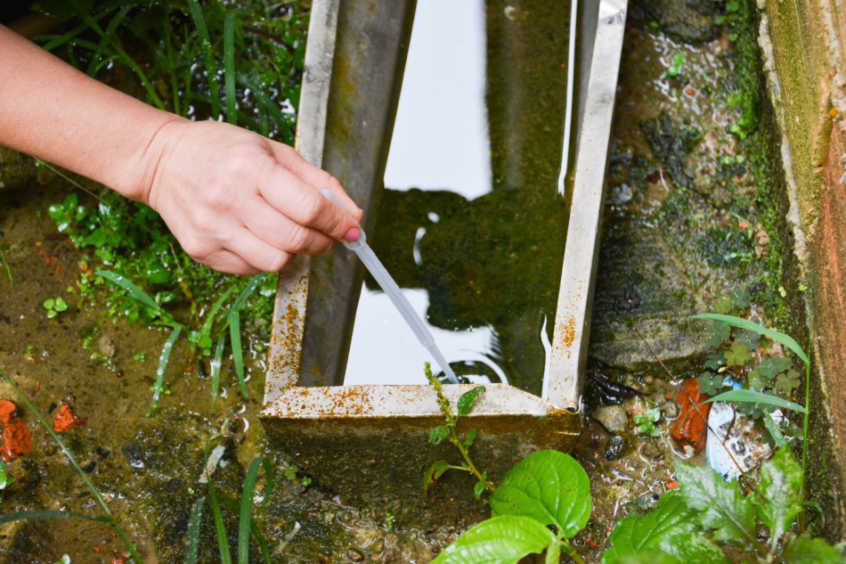 Blumenau acende alerta para situação do mosquito Aedes aegypti