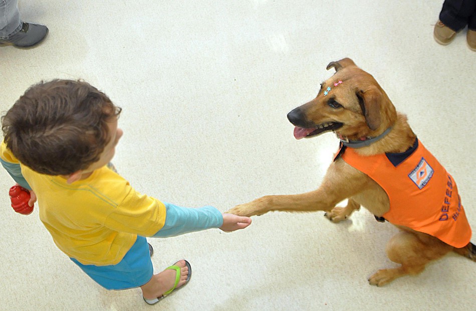 Mascote Mayla da Defesa Civil visita Hospital Santo Antônio nesta quinta-feira