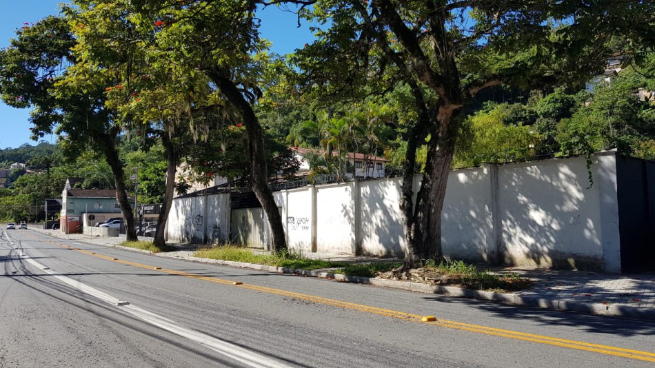  Seurb vai cortar árvores que estão prejudicando o trânsito na Rua Itajaí