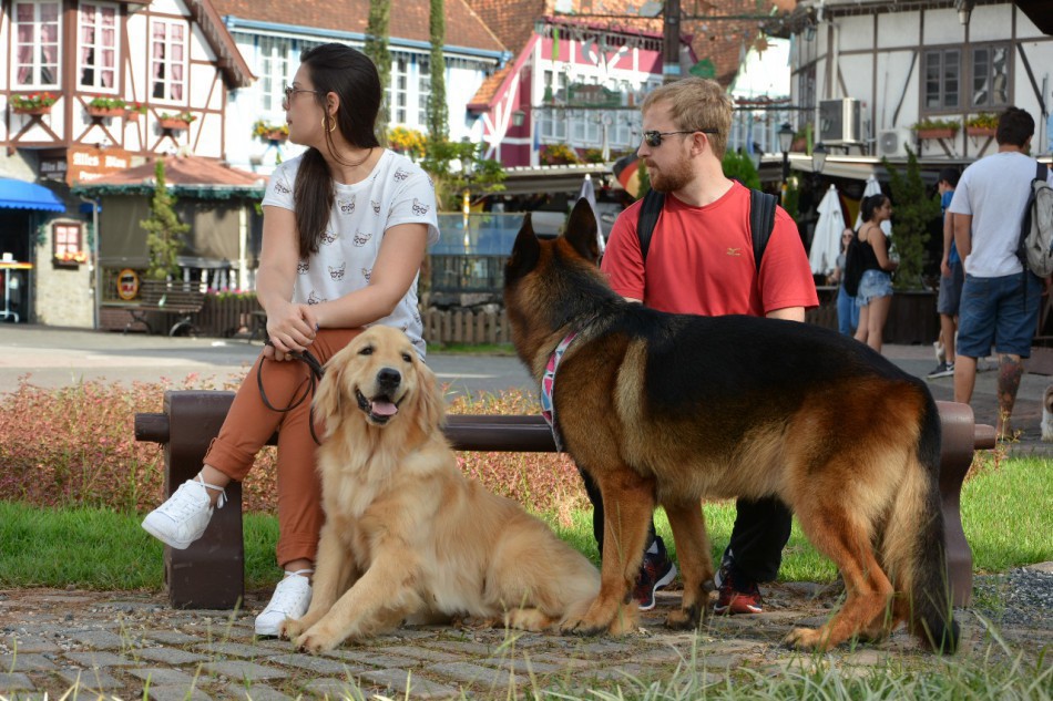 Mais uma edição do Cão no Parque e na Vila acontece neste fim de semana