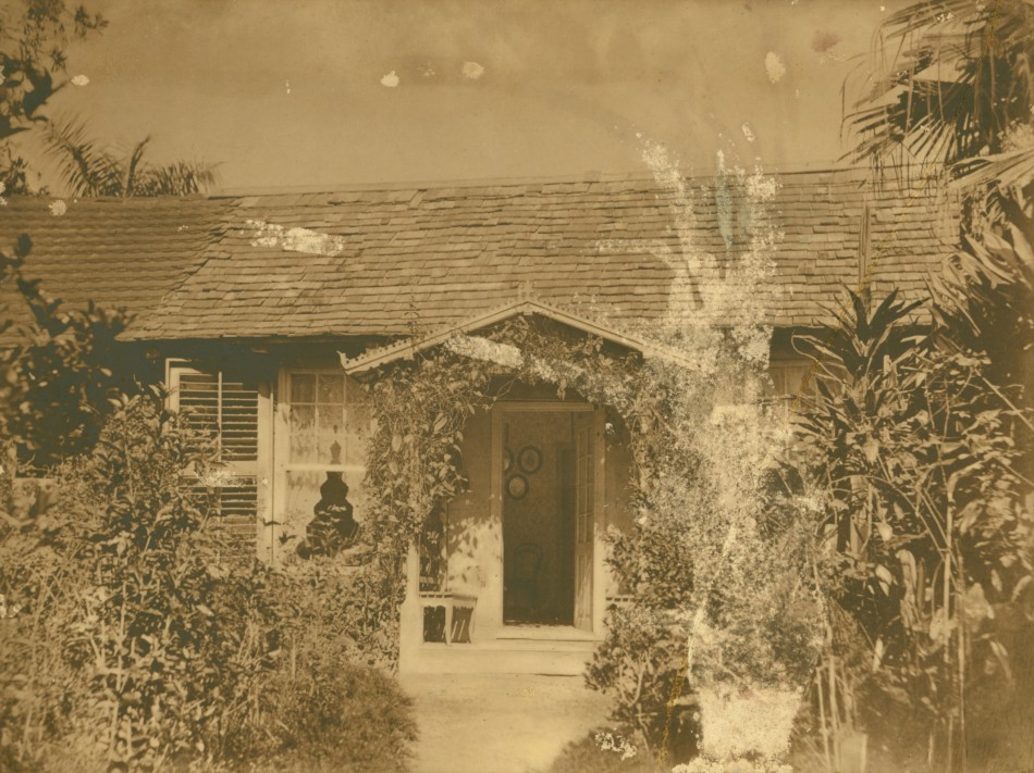 Memória Digital: Comemoração 200 anos Dr. Blumenau 